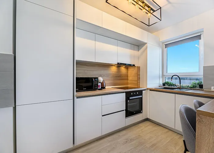 Koa - The Box Μπρασόβ